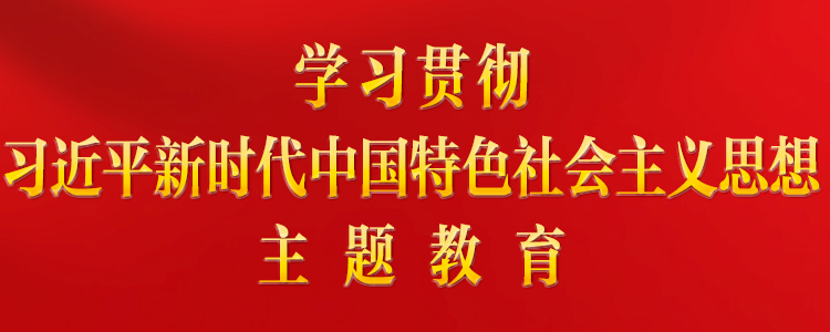 学习贯彻习近平新时代中国特色社...